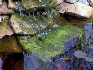 Remove Algae - IonGen System - Spears Landscape