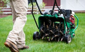 Preparing Your Yard for Winter